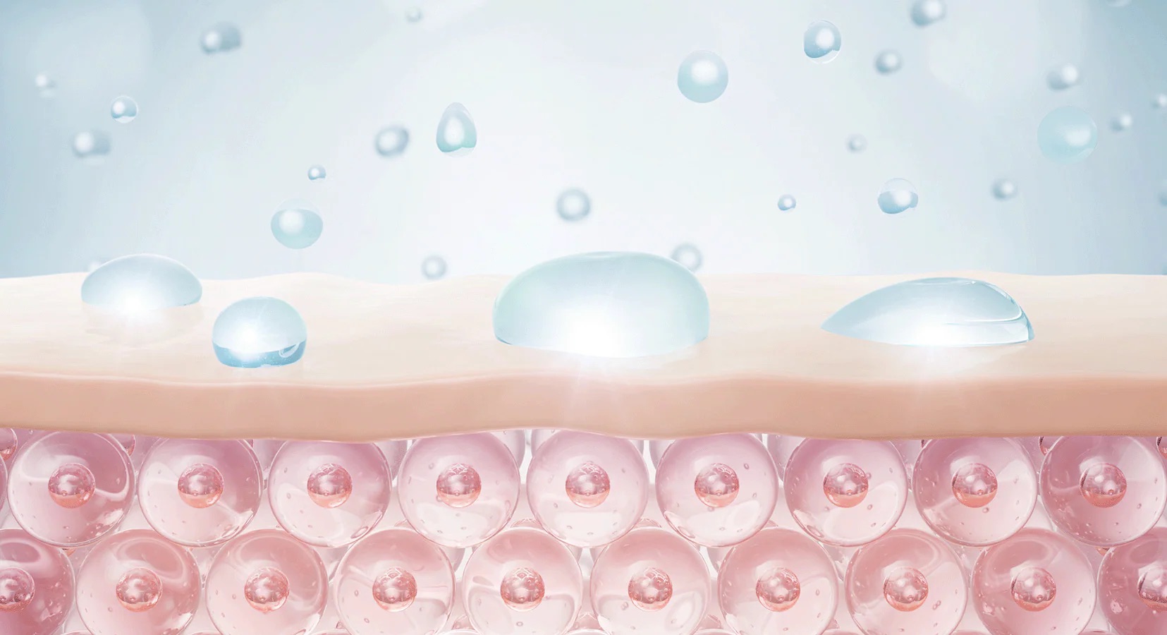 Skin Barrier Anti-Aging: Protect & Strengthen Your Skin